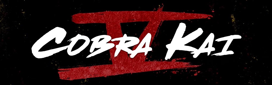 Cobra Kai season 5 trailer 9