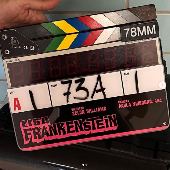 Lisa Frankenstein Casts Carla Gugino