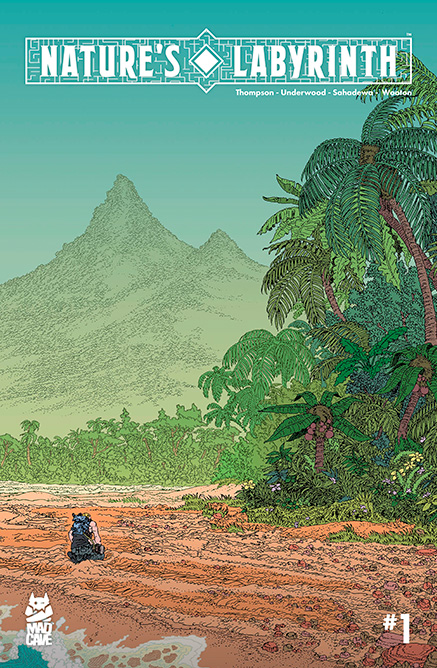 Natures Layrinth Cover 1 437x668 1