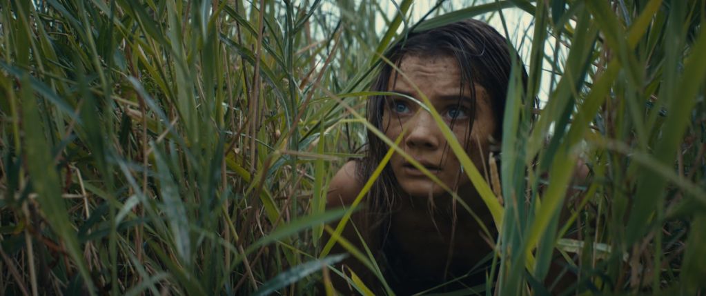 Kingdom of the Planet of the Apes Trailer Brings A New Chapter Upon Us