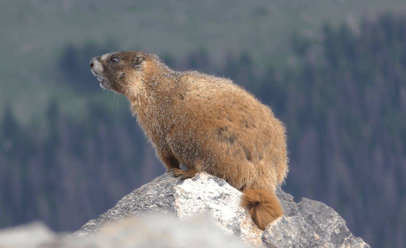 Screenshot 2024 07 17 070827