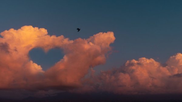 A large mass of pink clouds with a hole in its center that forms the shape of a heart as a black bird flies by.