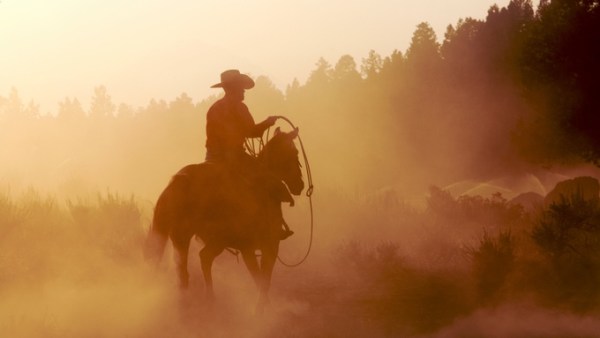A silhouetted person in a cowboy hat riding a horse through dusty brush with trees in warm sunset light.
